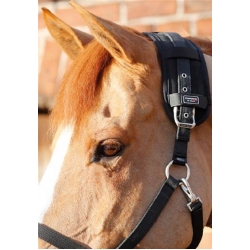 Premier Equine Magnetic Horse Poll Band